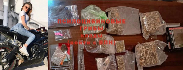 тгк Алзамай