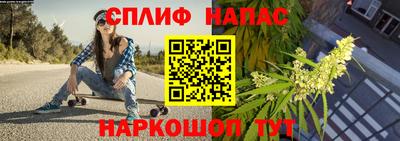 хмурый Моздок