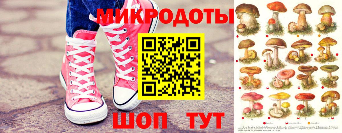 Сочи  где продают наркотики  Вход с VPN  Галлюциногенные грибы Psilocybine cubensis 