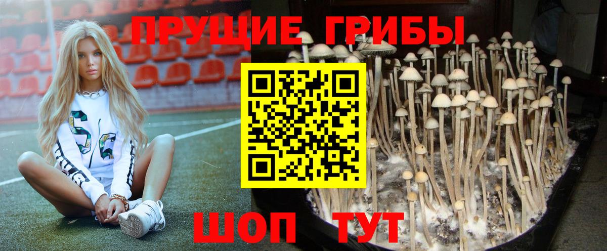 Псилоцибиновые грибы Magic Shrooms Сочи